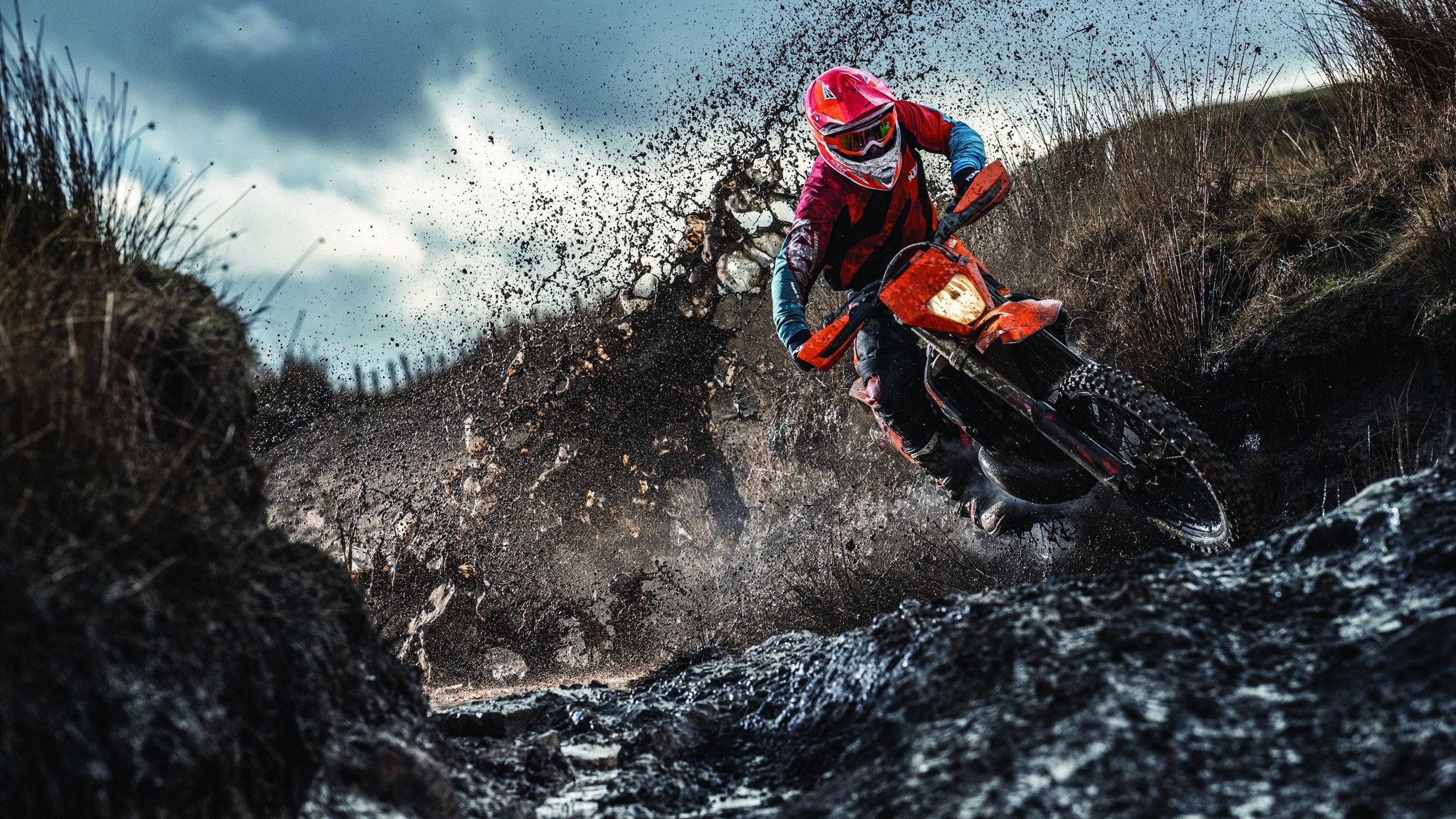 荷兰骑手 Stephane Hazeleger 在巴黎奥运会三项赛中获得第十名，展现坚韧精神。